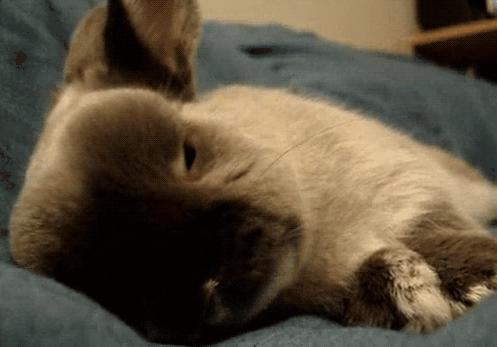 1岁宝宝有寄生虫的表现,关于宝宝感染寄生虫