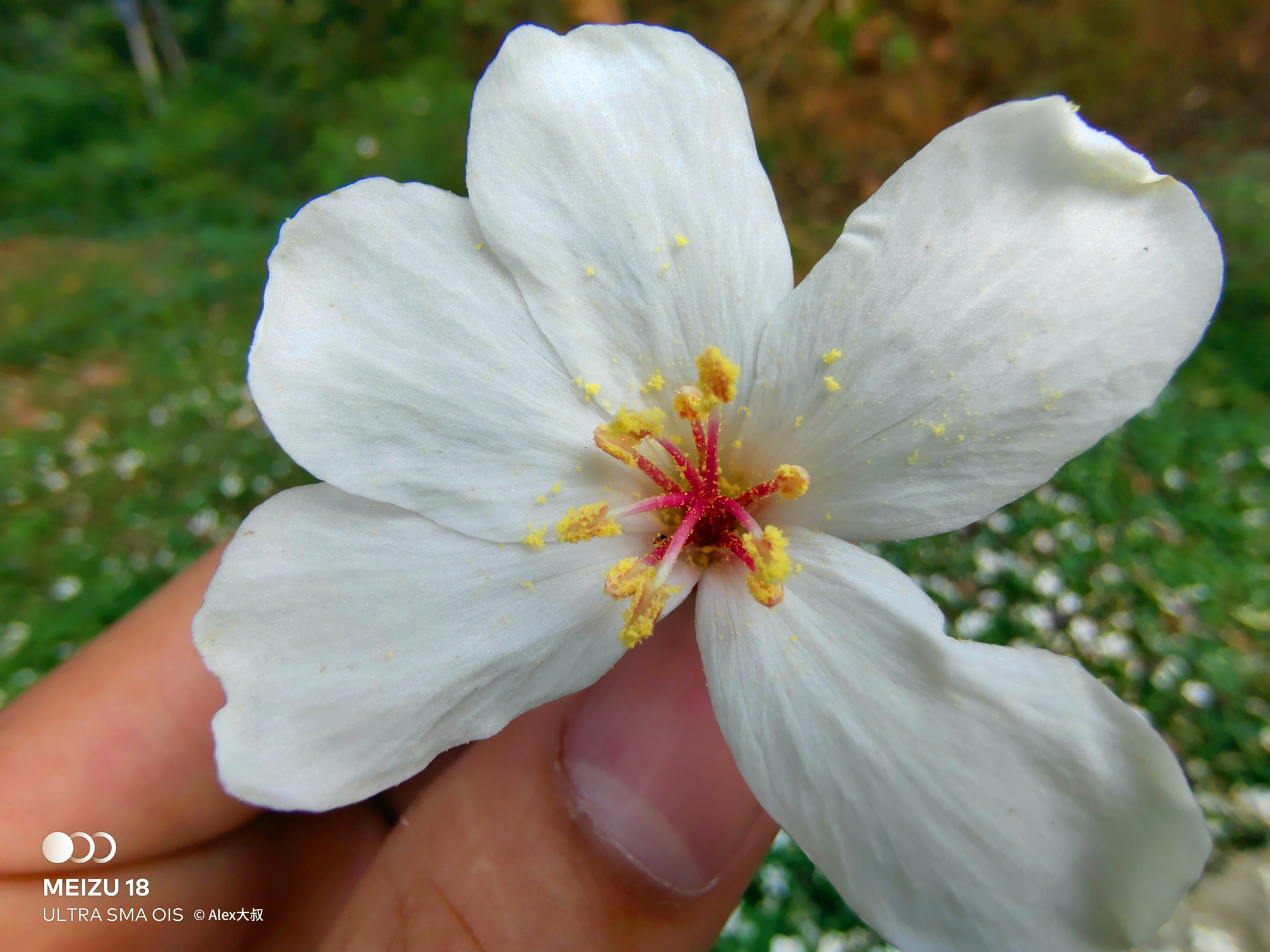 魅族18小屏手机,魅族18小屏版怎么样