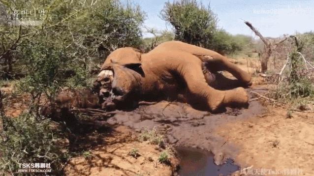 15岁怀孕，她被骗吃下*药炸**，一尸两命：有些人，这辈子不配为人