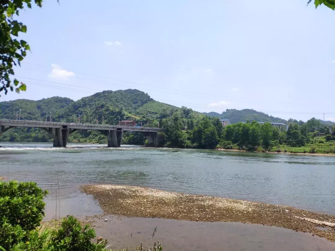 下一站联合电子,下一站同行