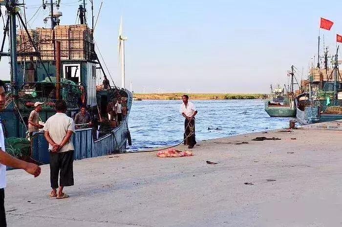 寿光羊口海鲜什么时间去合适,寿光羊口开海时间