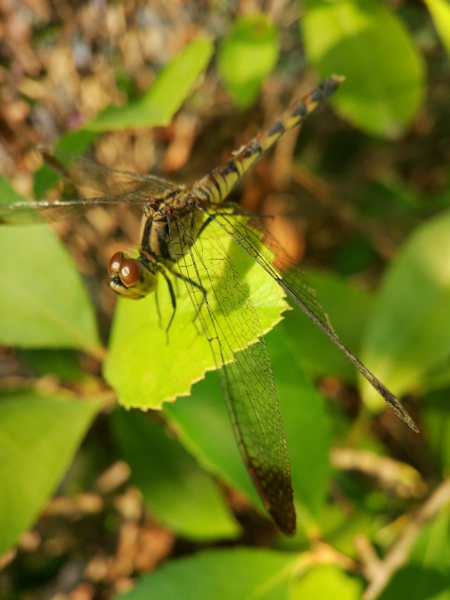 英山一日温泉游最佳攻略,英山毕升温泉两日游介绍