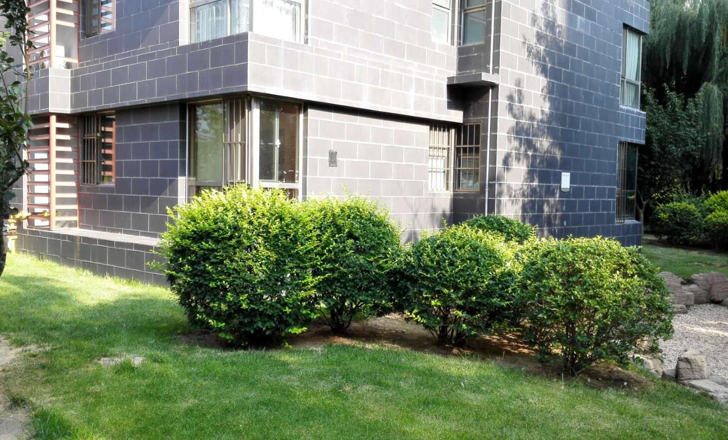 楼盘一楼好不好,一楼房子有什么优势