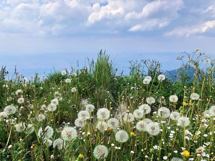 小五台山景区游玩攻略,小五台山快乐一日游