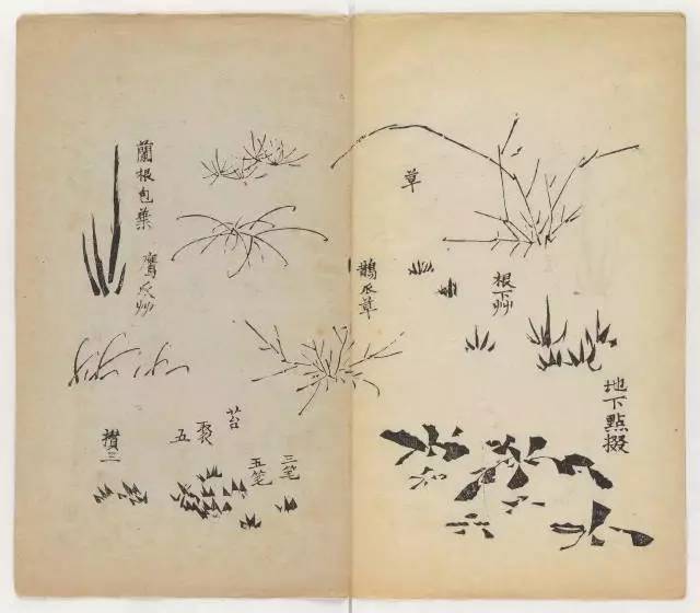 毛笔怎么画兰草,怎么画兰花和书法