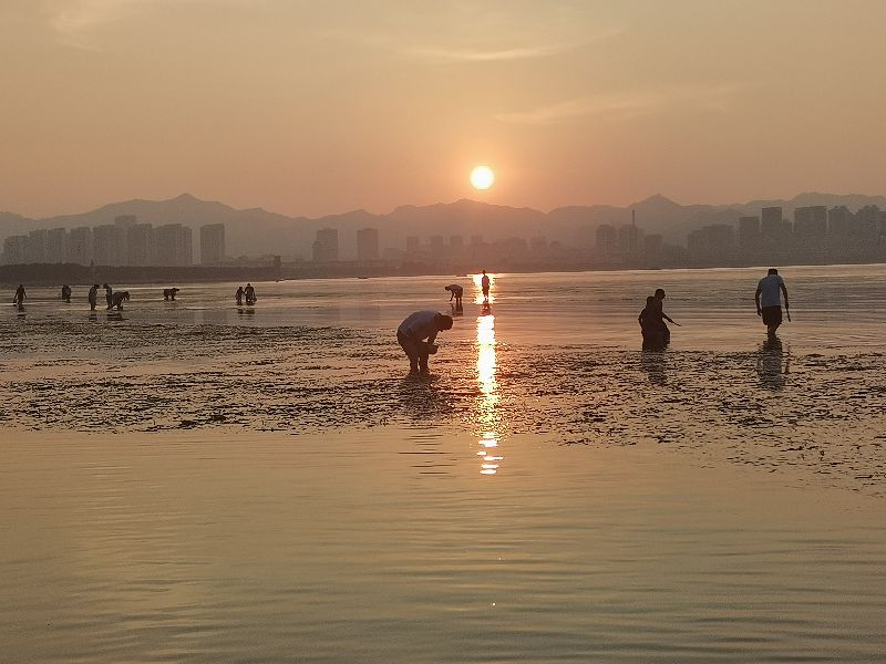 赶海挖蛏子找蛏子眼,想赶海捡贝壳海螺