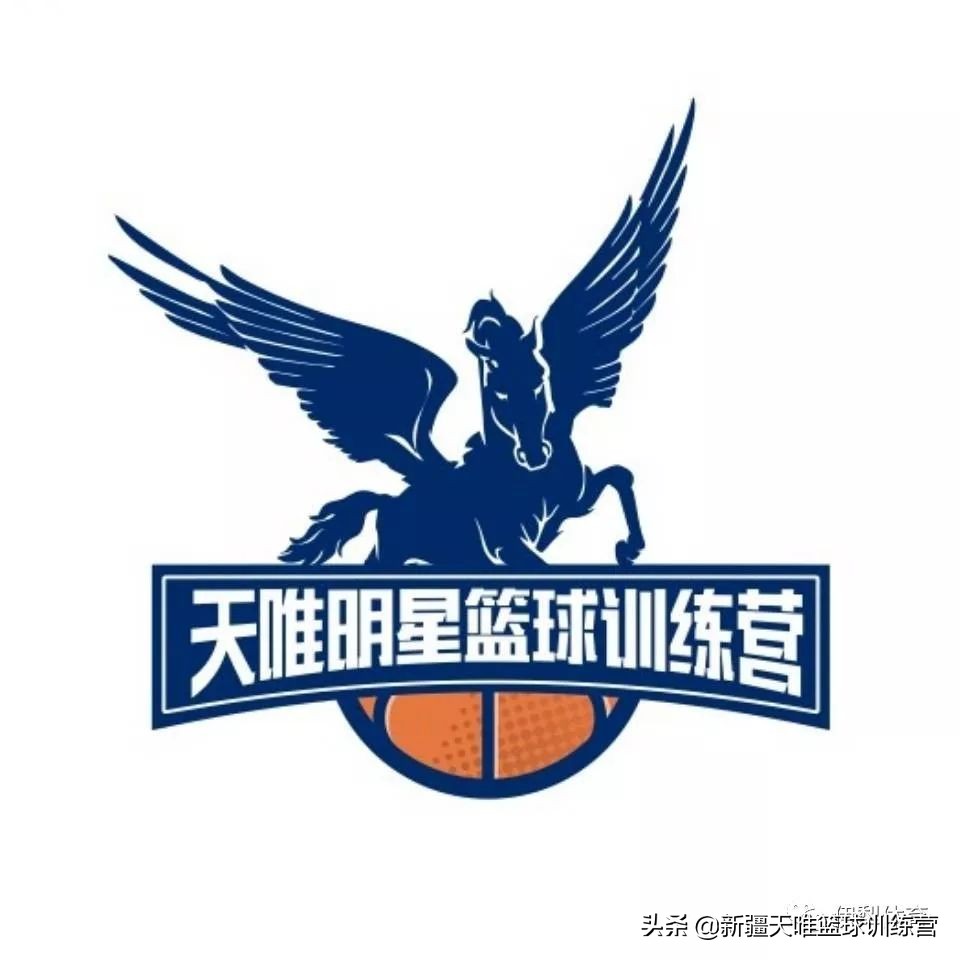 篮球的1至5号位是什么意思,篮球的1-5号位是什么意思