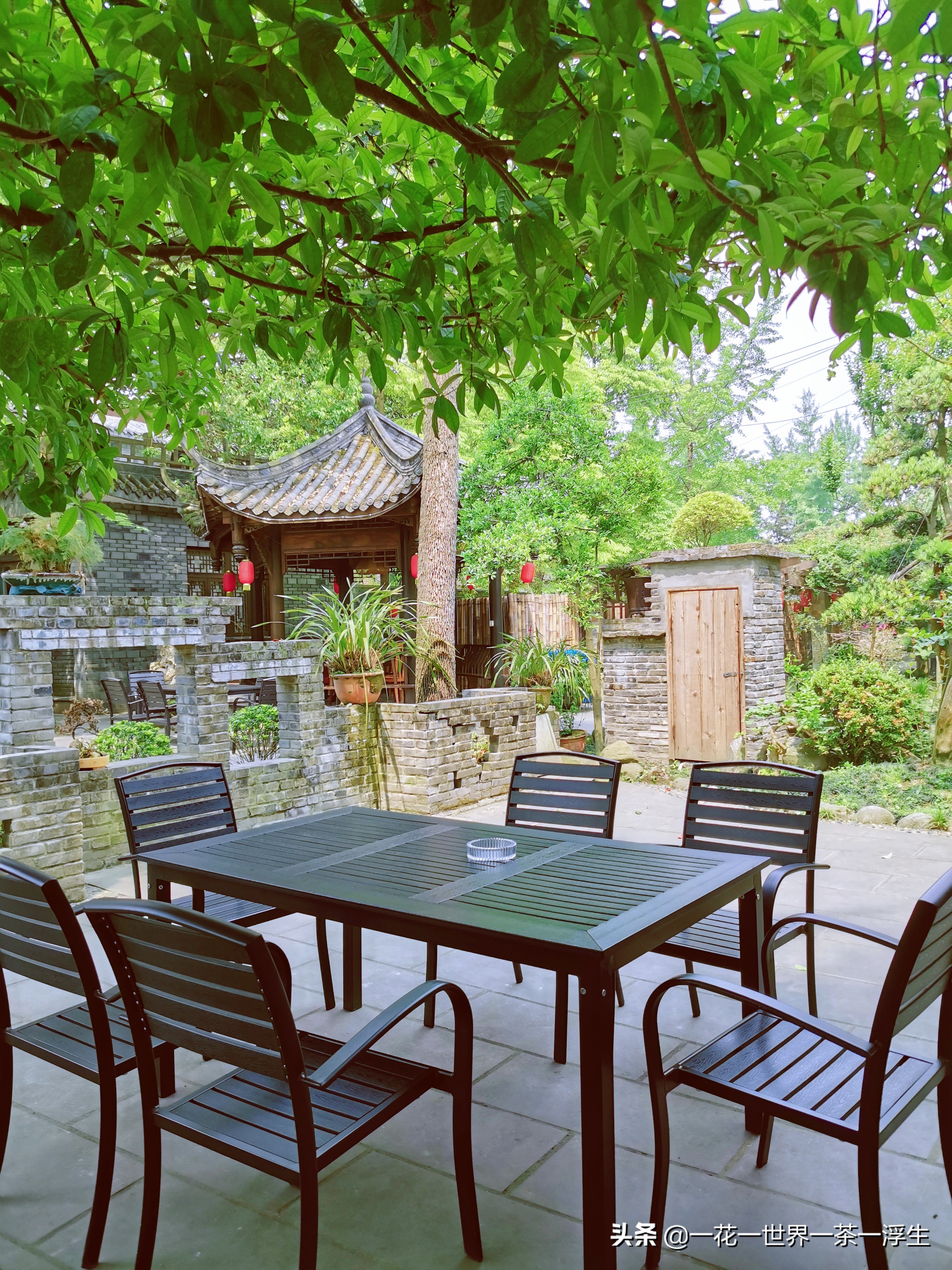 寻找巴适的成都小院(2)