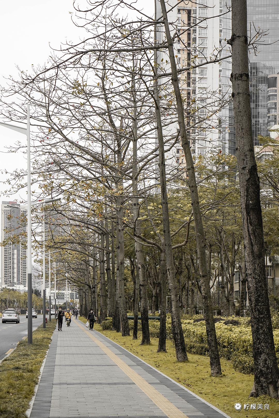 谁说深圳上下沙，不如广州上下九