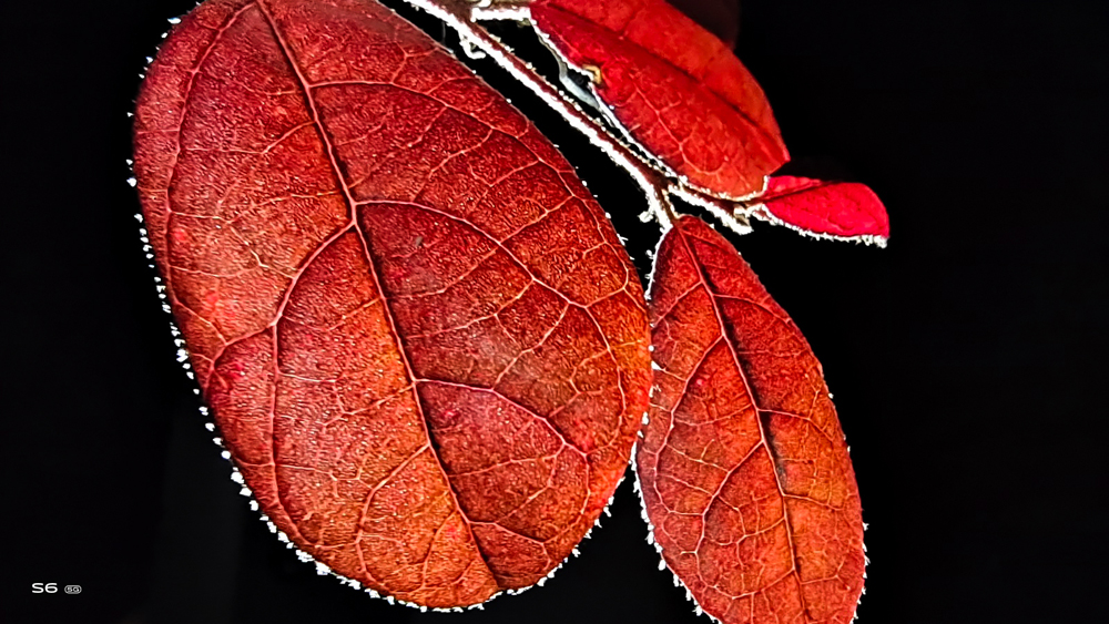 vivos6手机外观有什么优势,vivos6手机深度测评