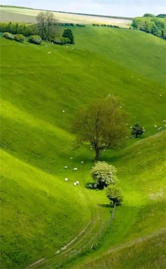 缓解眼睛疲劳动态图壁纸,好看的手机壁纸护眼高清图文