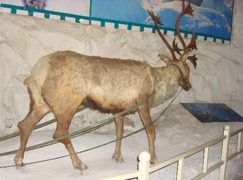 西安带孩子们最值得去的海洋公园,遛娃海洋馆打卡视频