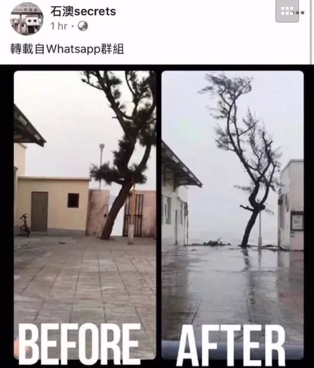 喜剧之王上映时间,喜剧之王2024开播时间