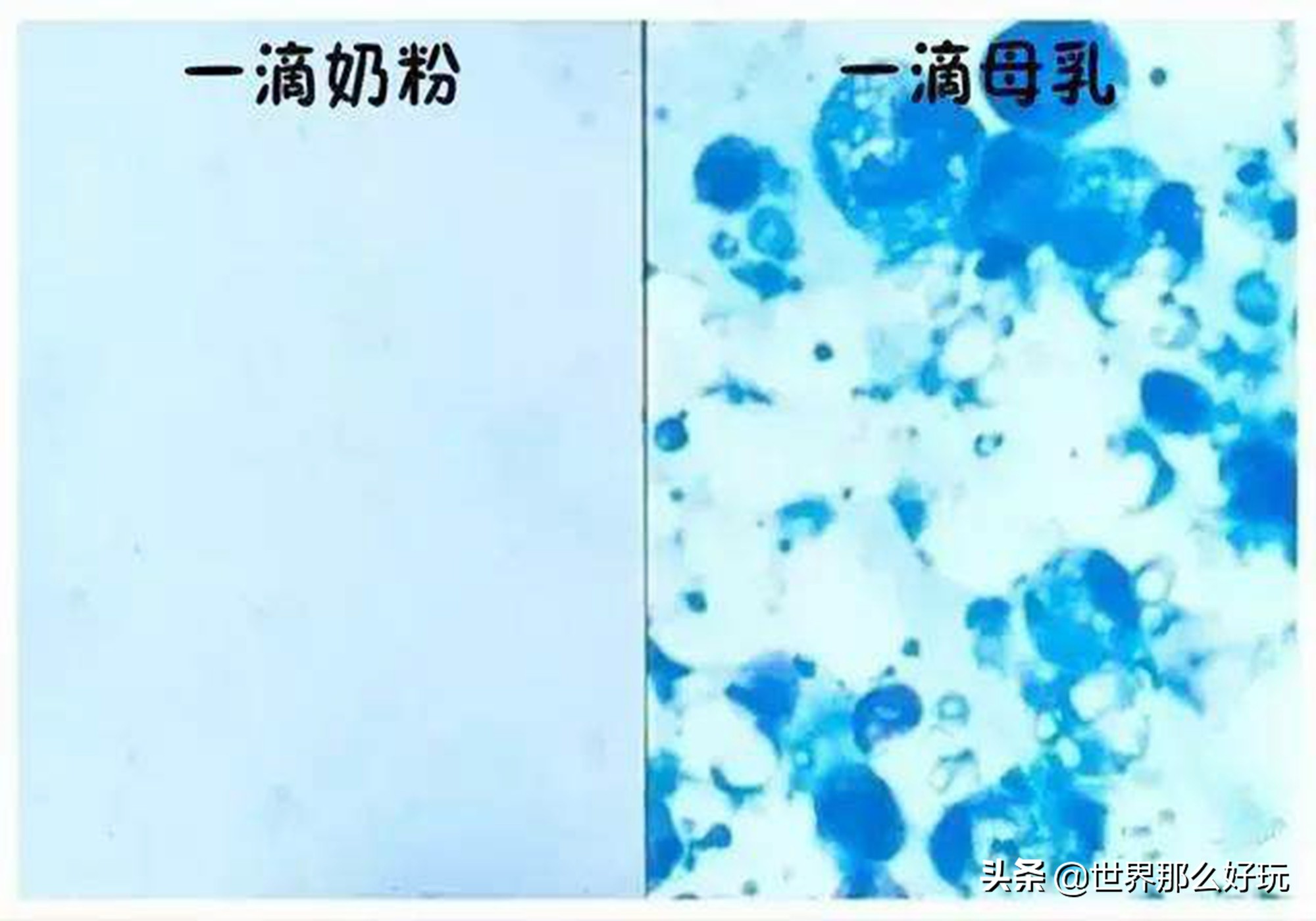 “母乳”放大1000倍，堪称世间最纯净液体