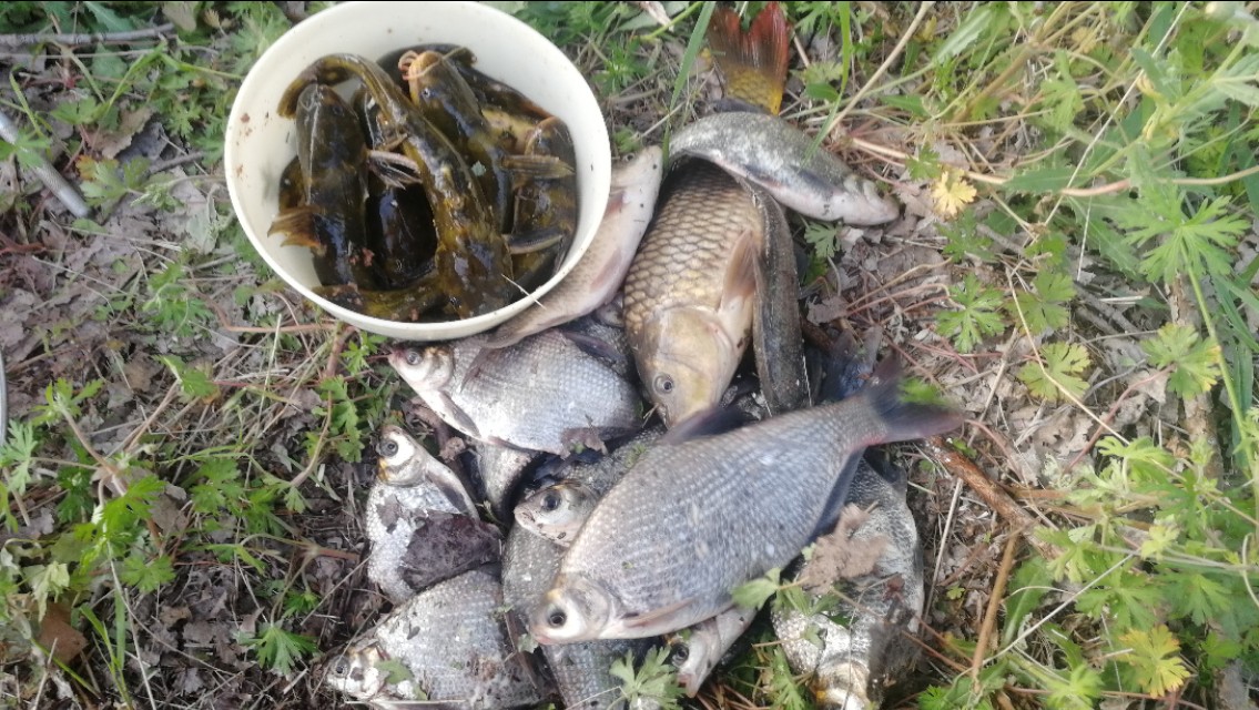 台钓双钩挂红虫或蚯蚓怎么调漂,台钓蚯蚓最佳调漂方法