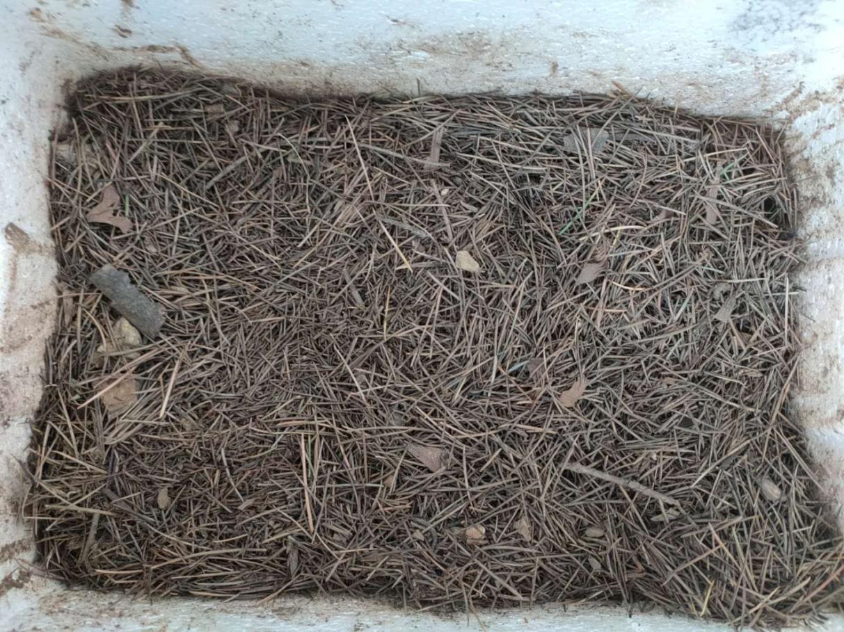 旧土翻新重新利用,如何改造旧土