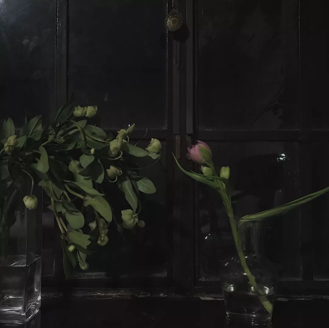 什么花最受女孩欢迎,女孩子中比较受欢迎的花