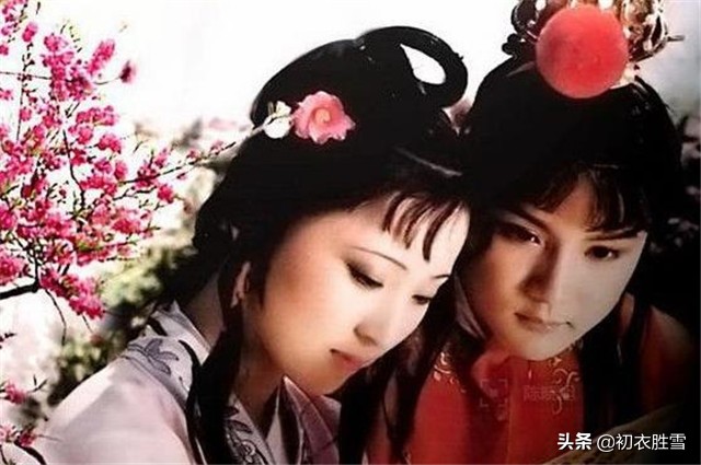 红楼梦中西江月的解读,红楼梦西江月全文解读