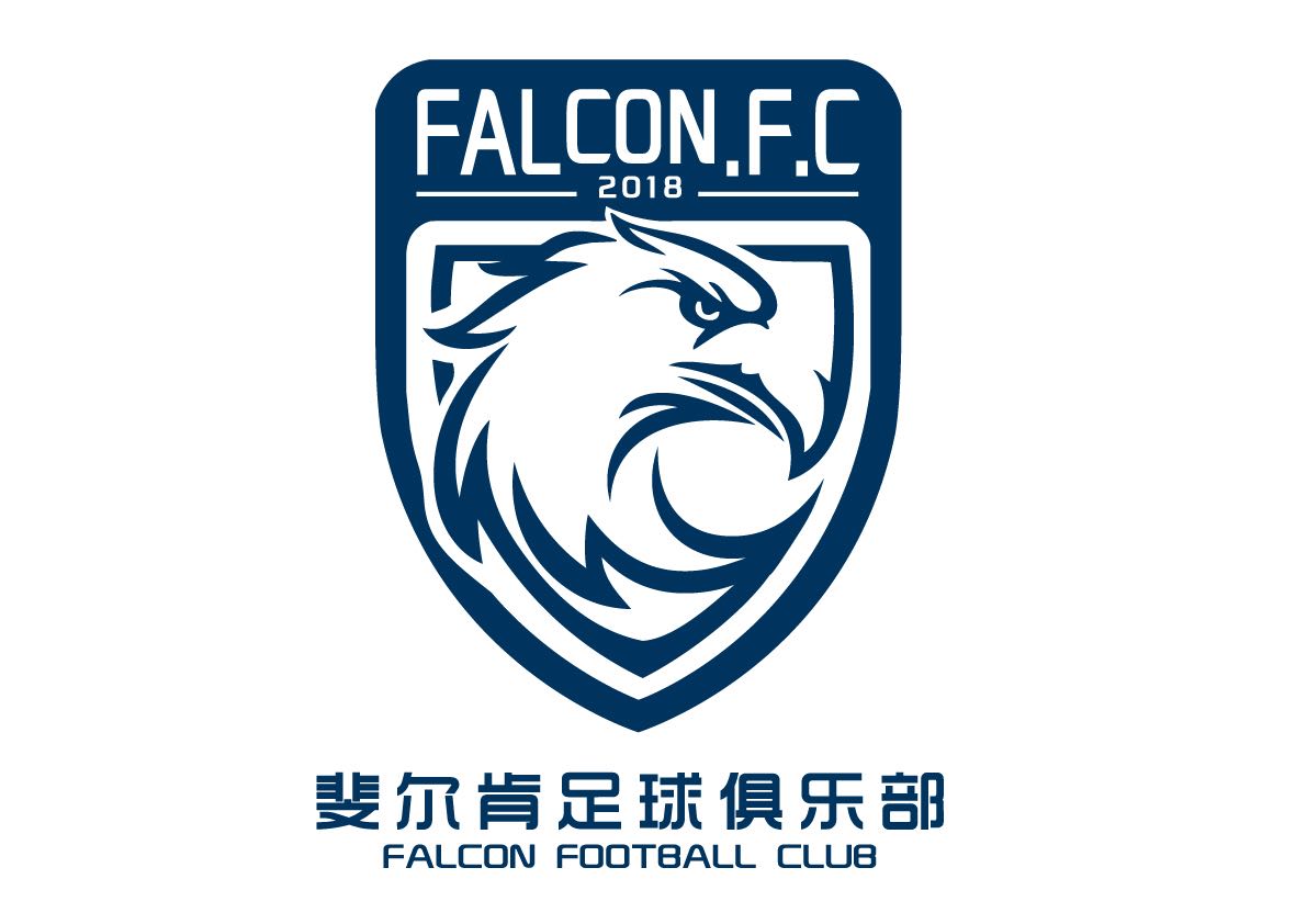 足球公益训练营,斐尔肯足球训练营