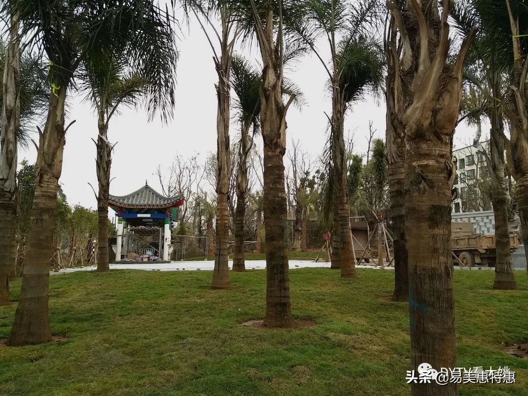 大姚县健身,大姚县西河森林运动公园