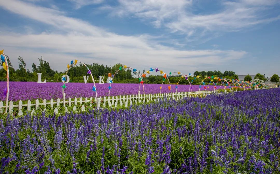 在济南花式避暑，一见“清”心！只需一瞥，便足以把酷夏原谅…