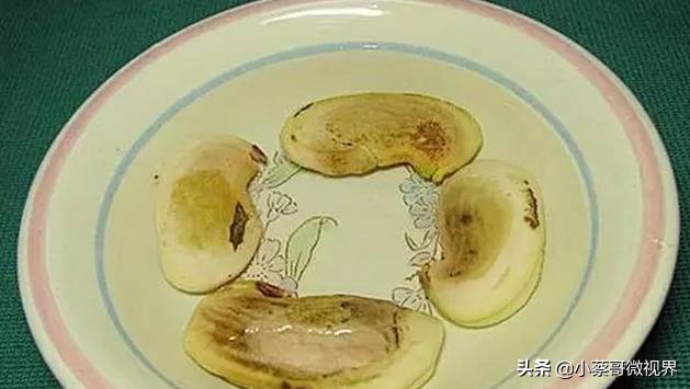 吃完的水果不要扔试试在家就能种,吃完的水果种子