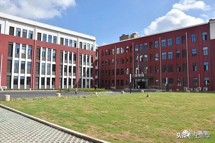 沪10大“美哭了”的公办小学,环境设施赶超民办!第一所就膜拜!