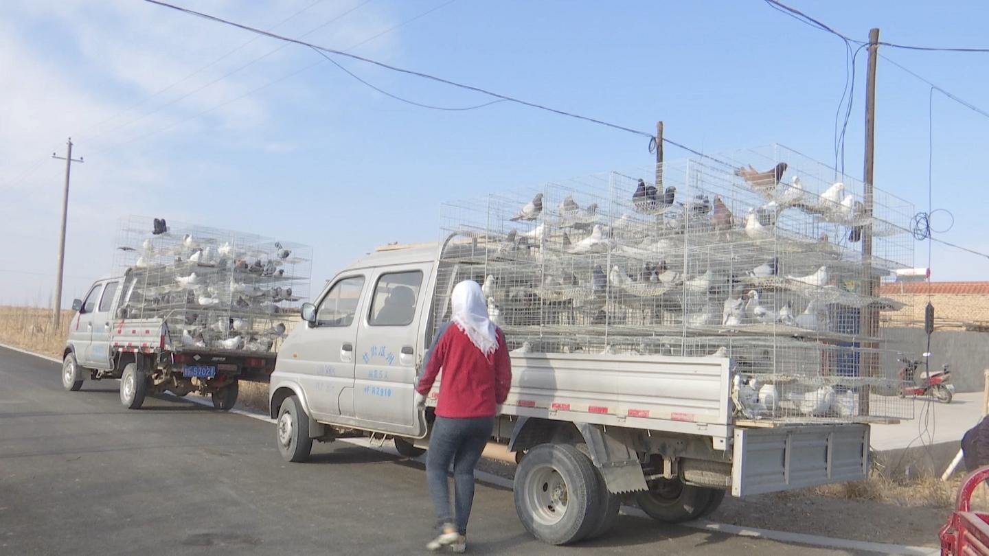 落实两会精神助力乡村振兴,落实市委全会精神六强