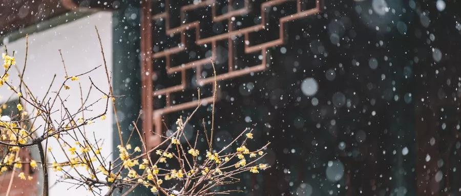 三不比三不言三不争,三不比三不争三不言段子