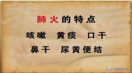 肺火用什么草药治,董氏奇穴降肺火的穴位图