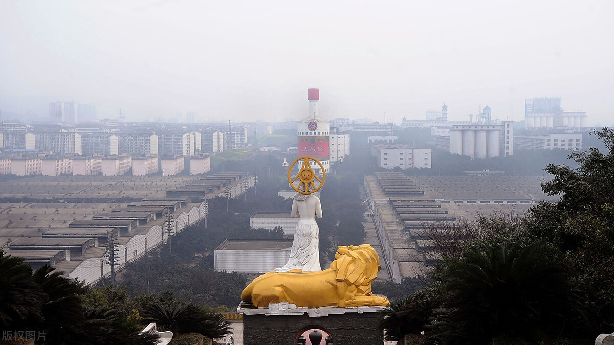 四川各城市消费水平和收入排名,绵阳市消费排名