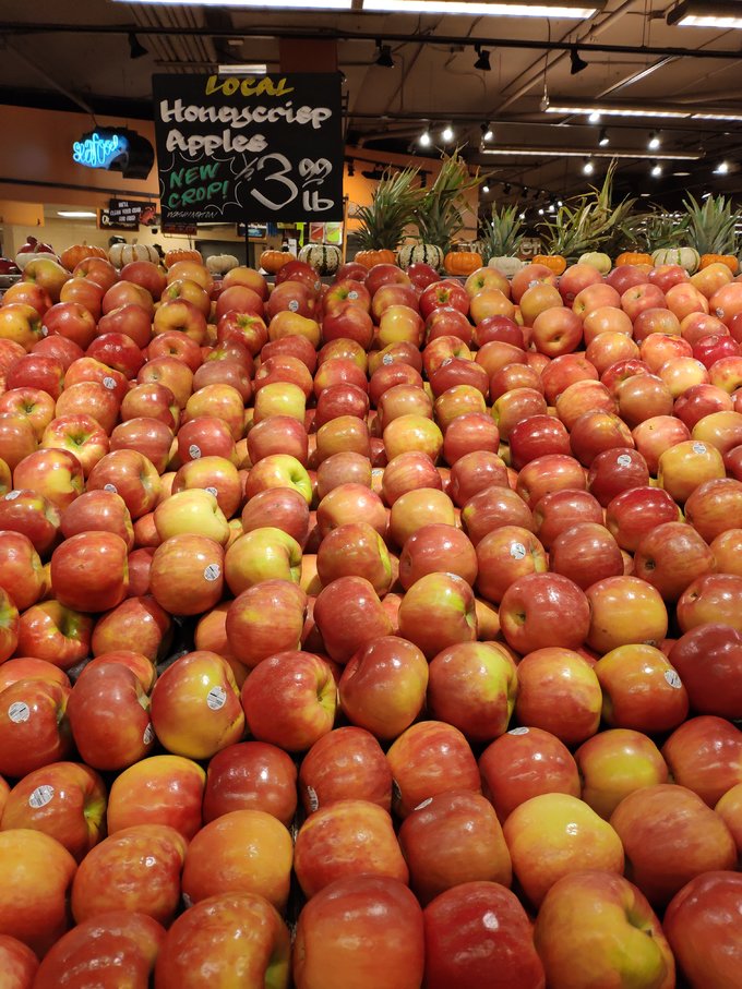 西雅图到旧金山自驾游,西雅图到墨西哥旅游路线攻略