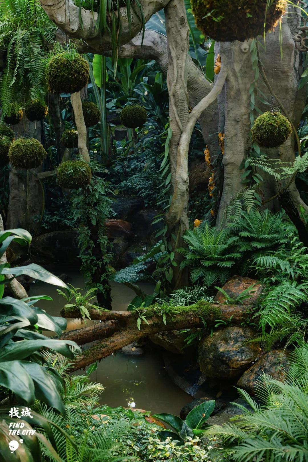 南宁人去隆安玩,南宁人去柳州玩