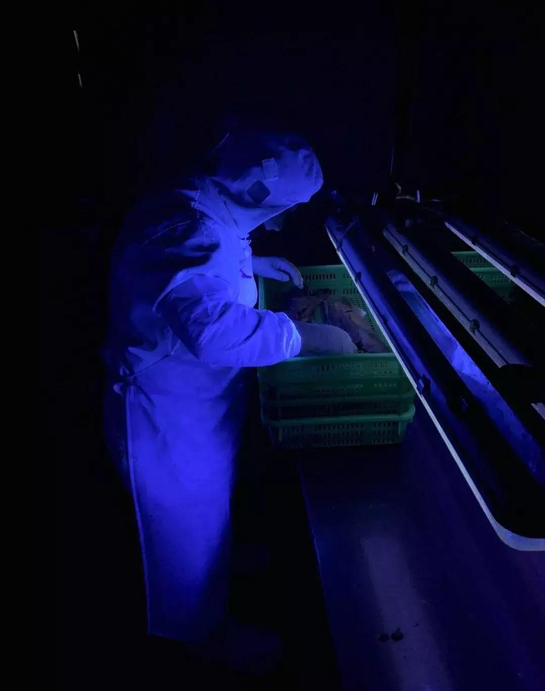 一家海鲜小店一年能赚多少 (自助海鲜店是怎样盈利的)