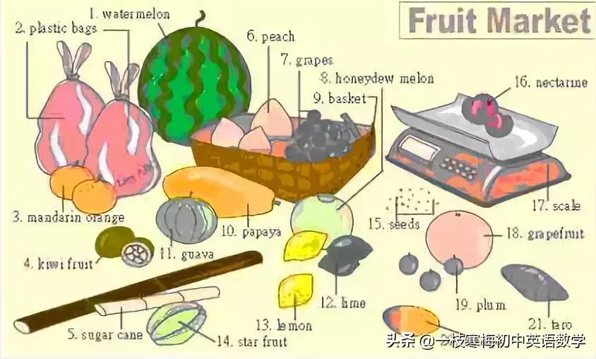 17张词汇图让英语融入生活,英语生活用词