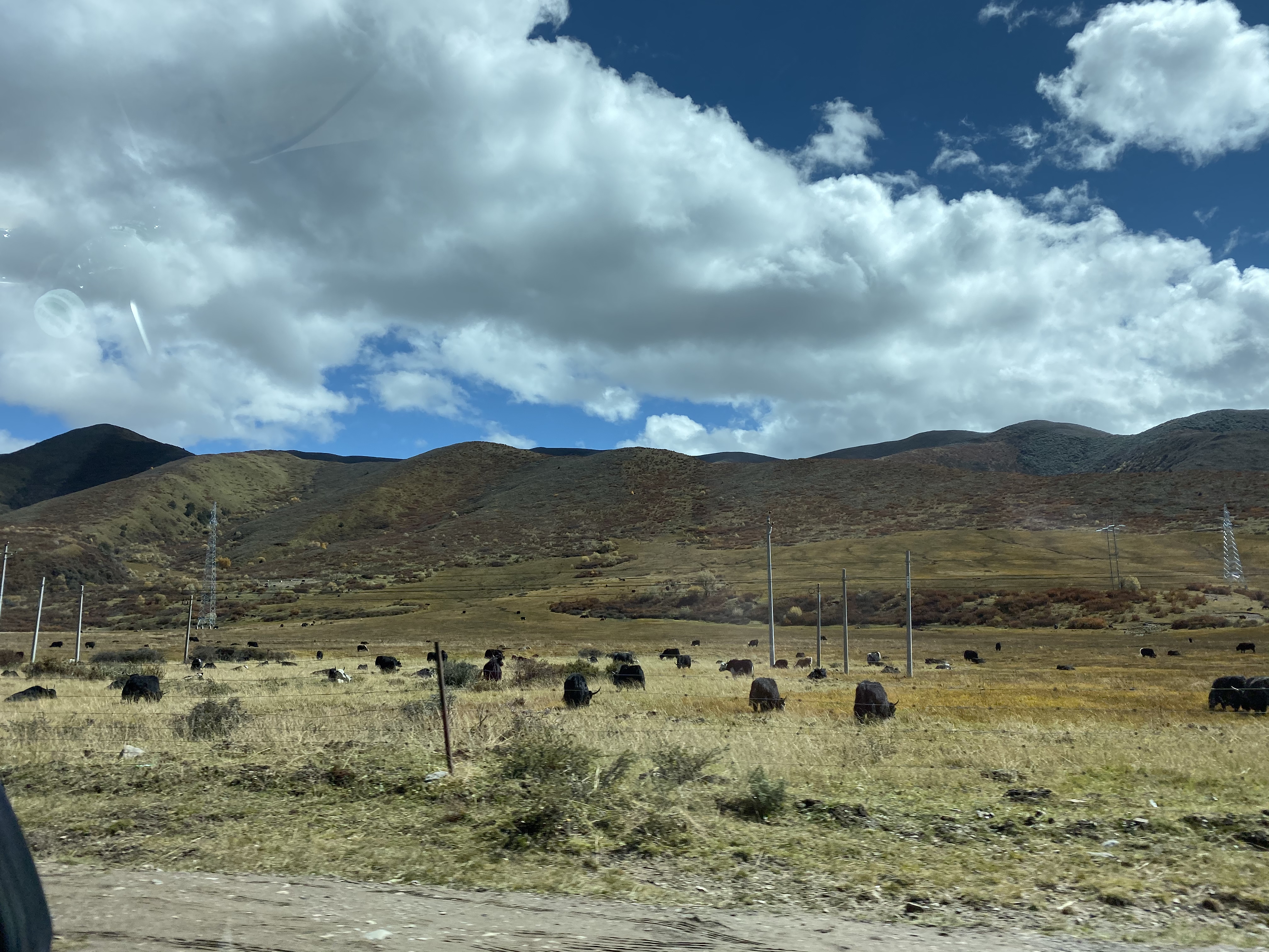 西安出发若尔盖大草原自驾游攻略,成都到若尔盖大草原