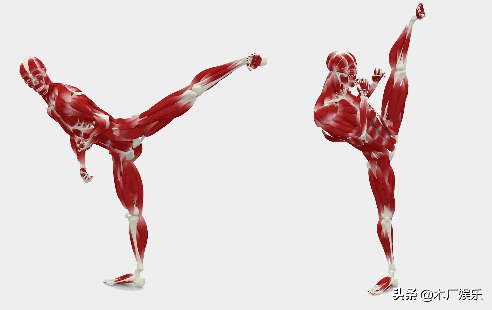 不同侧踢技术的比较分析,前踢实战运用