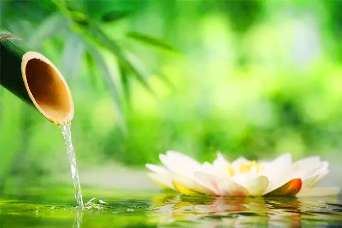 年年岁岁花不同，岁岁年年人无异