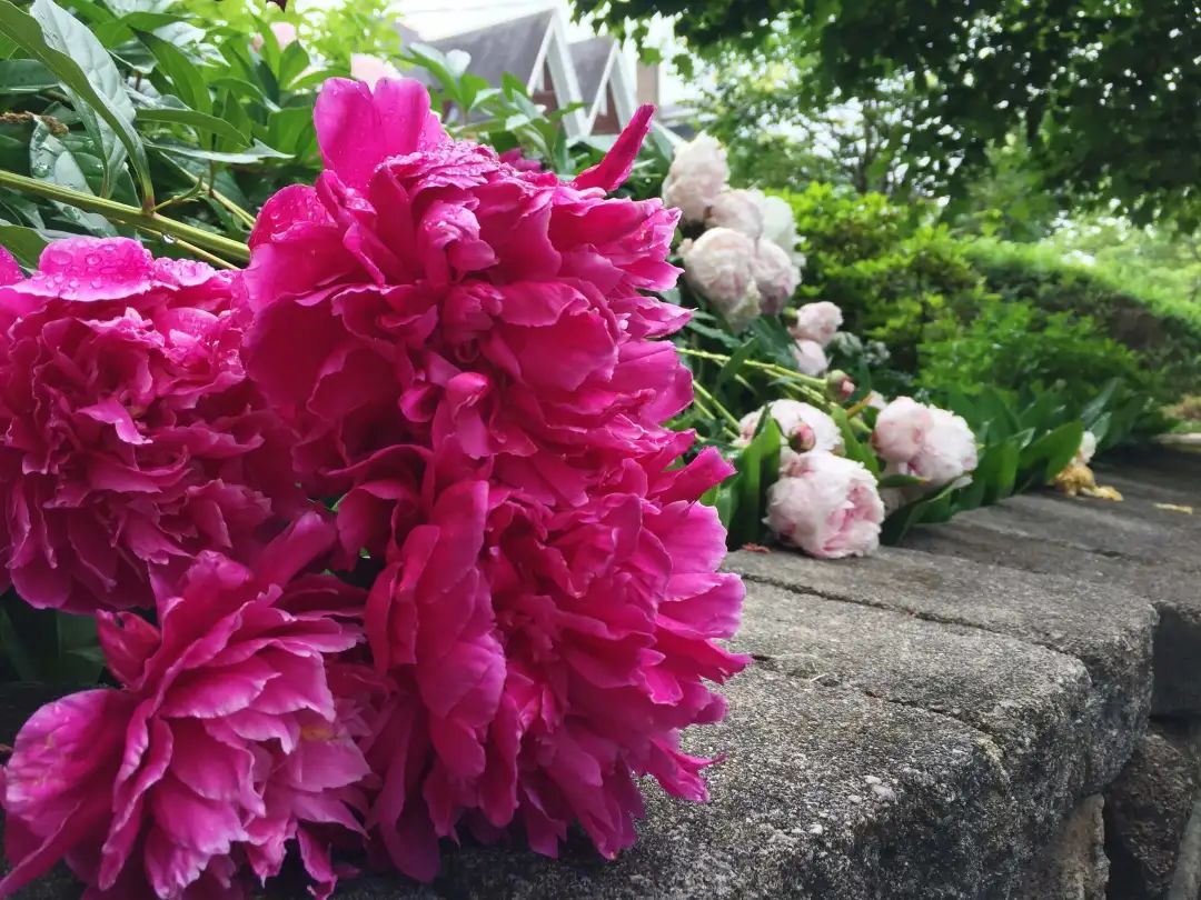 陆游春节的诗,陆游写的关于成都的诗