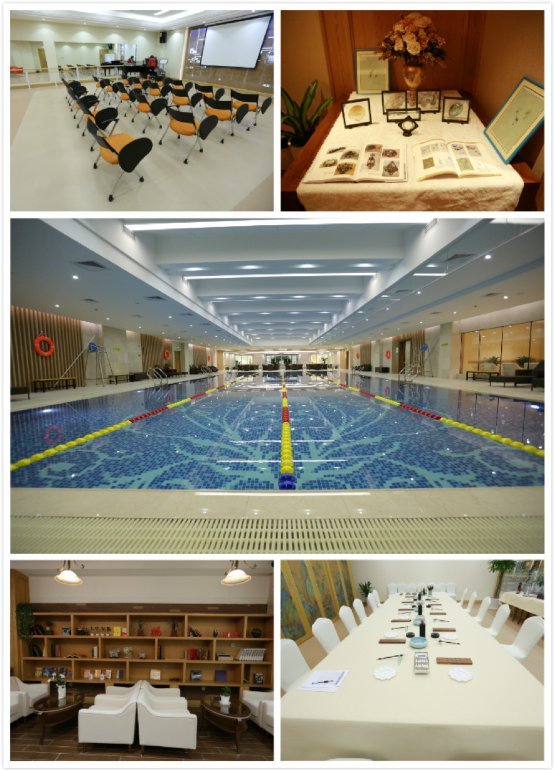 此大爱城非彼大爱城！查清真相，选择养老机构不再如坠烟海