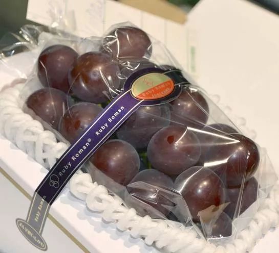 为什么韩国日本的水果很贵,日本高端水果为什么那么多