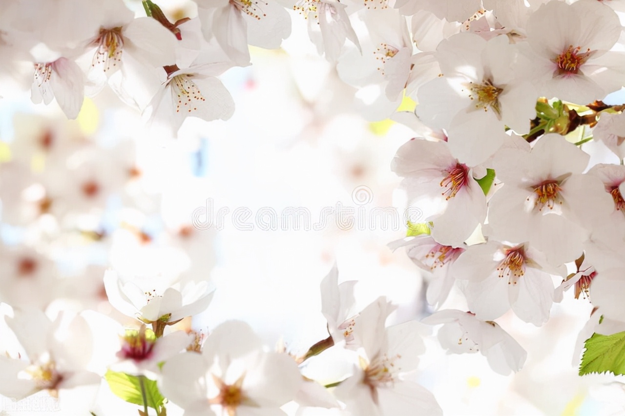 亲戚在日本定居去日本打工简单吗,到日本经商好吗