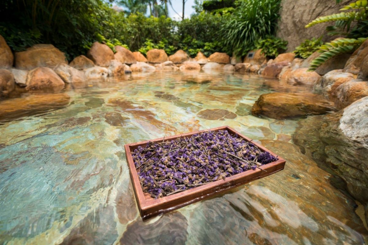 福建泉州聚龙小镇温泉公园：岩脉温泉中药花瓣池亲子戏水区