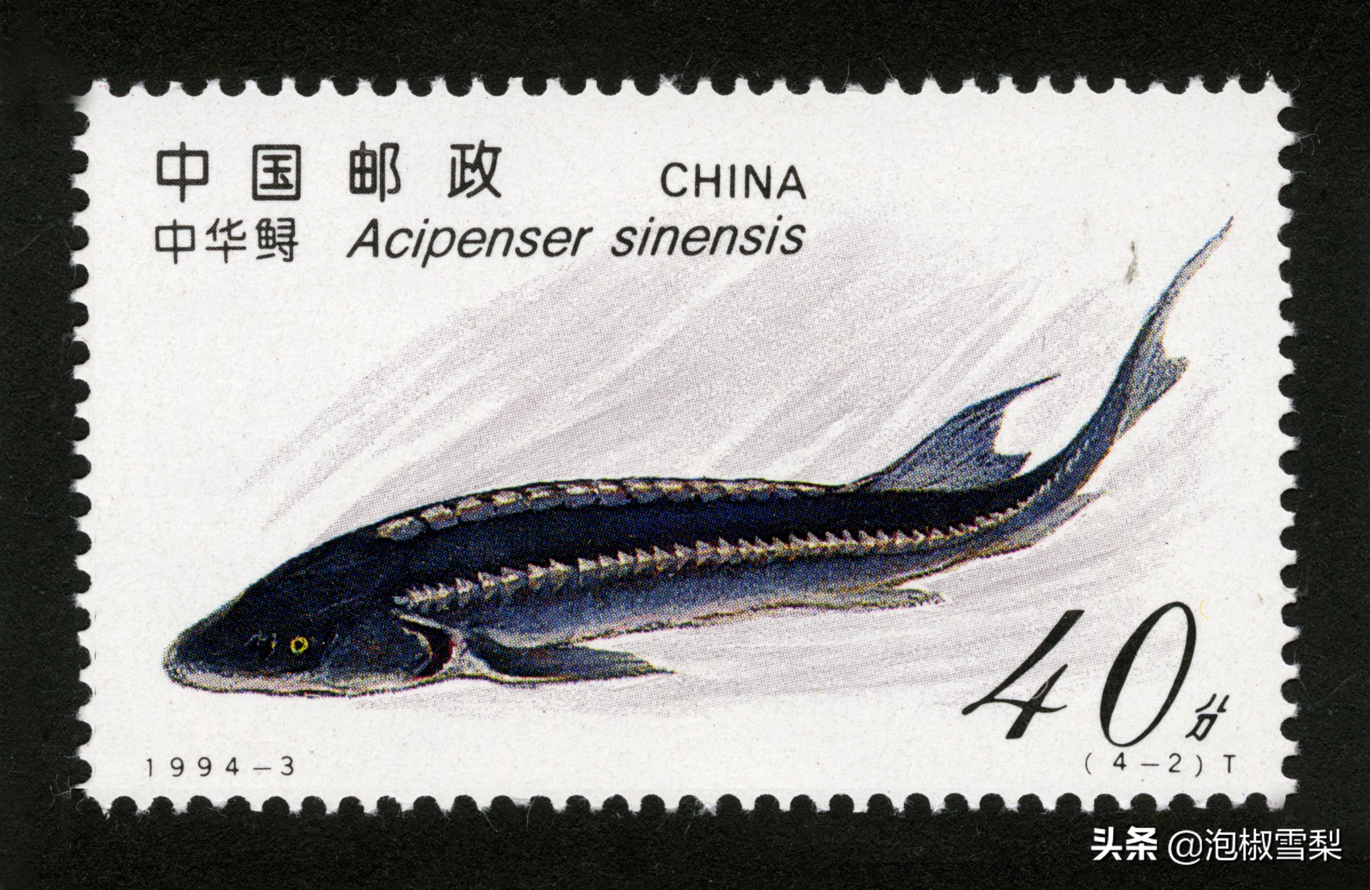 1994昭君出塞邮票,1994年黄埔军校邮票多少钱一张