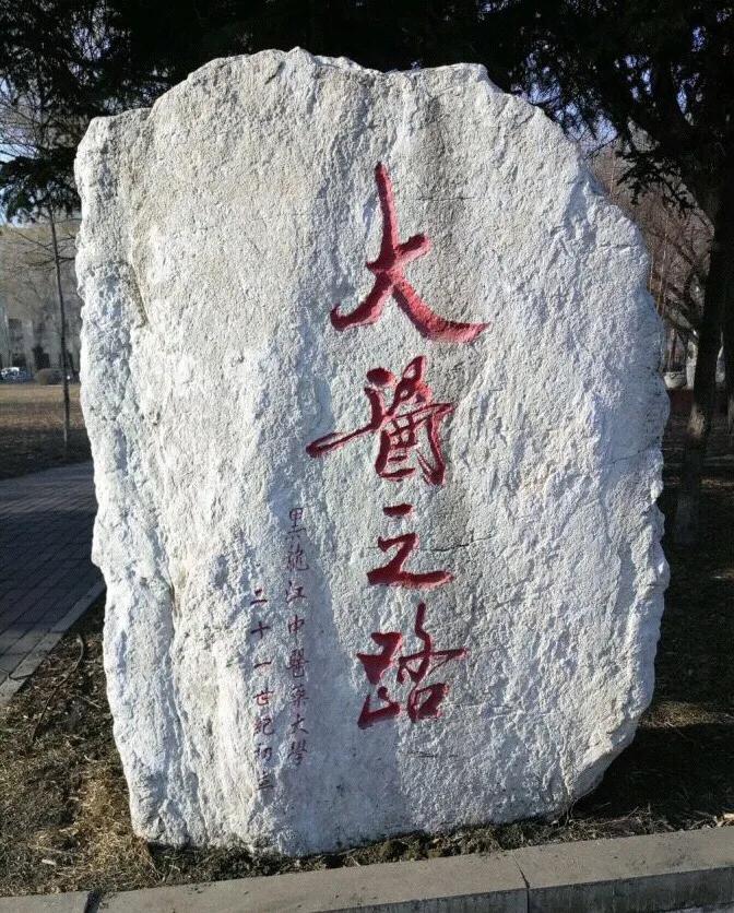 黑龙江中医药大学第二附属医院,黑龙江中医药大学研究生录取分数