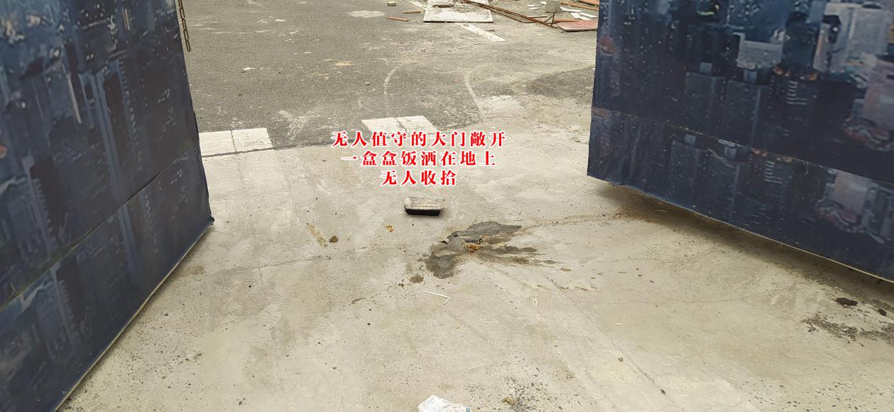 相城活力岛最新楼盘,相城区活力岛新楼盘