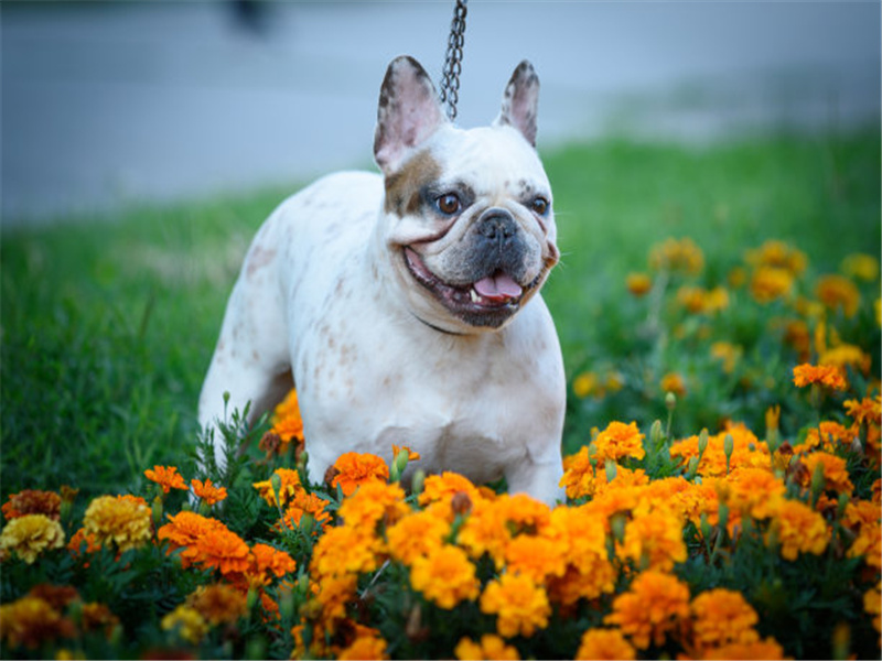 55岁想做小生意做什么会赚钱,50岁以上还能做点什么小生意