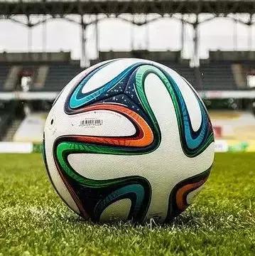 南湖湿地公园趣味运动会,元旦南湖有什么活动