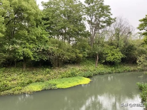 南京宜居还是杭州宜居,杭州宜居的真实感受