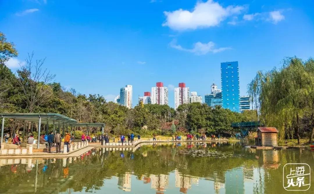 上海超全攻略,上海全天免费最值得去的旅游景点